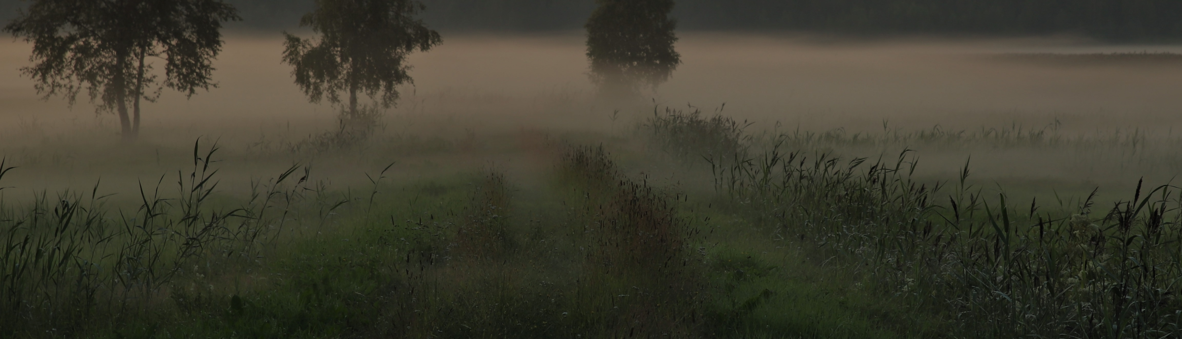 Tervetuloa Huutokaupat.comin ohjepankkiin!